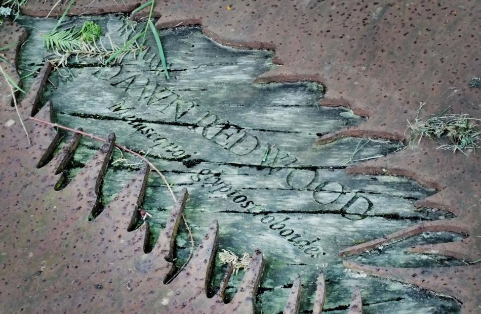 A hand-carved sign for Tupare's dawn redwood. 
