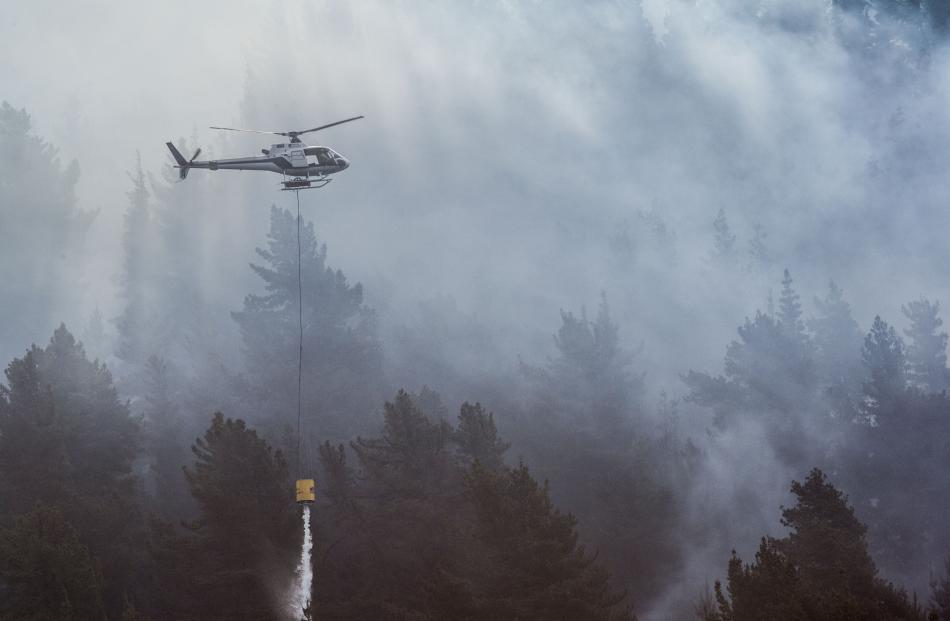 Smoke smothers the trees as a fire burns at Lake Hawea. Photo: Andy Cole