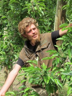 Jonathan Bates, of Alexandra, was on hand to talk about his role working at the Hollandia Orchard.