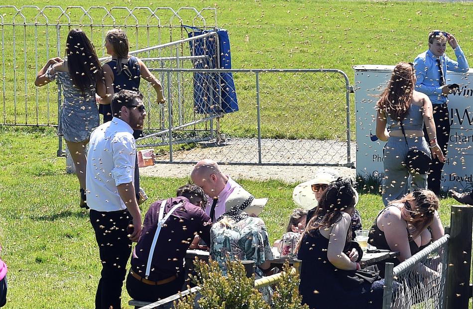 Crowd members duck as thousands of bees swarm through the field.