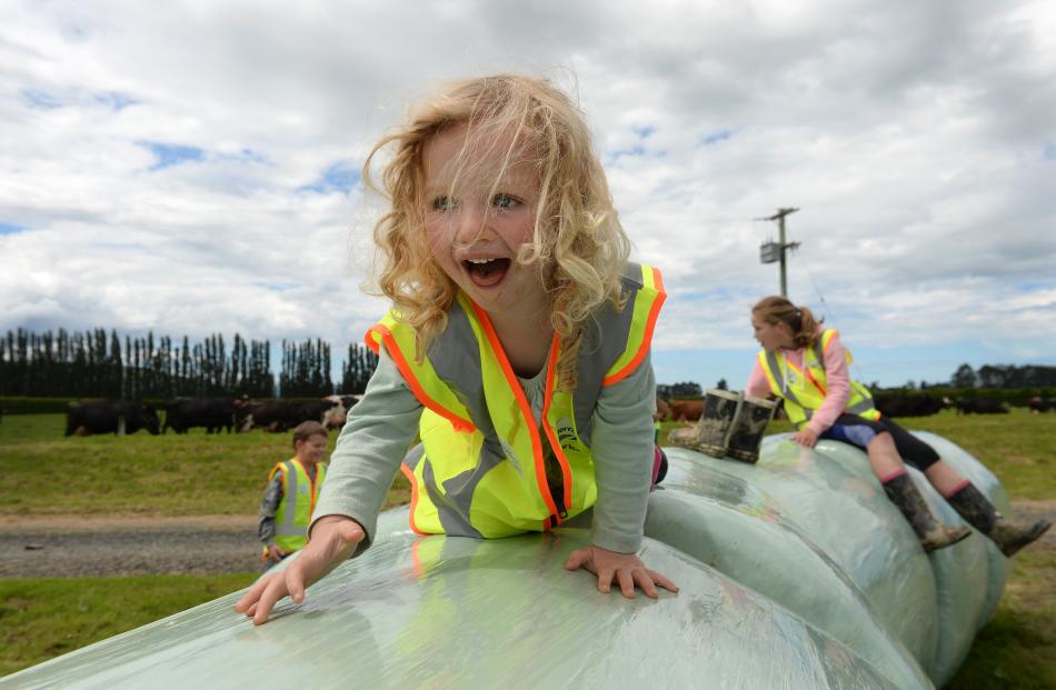 Sage McCurdy (aged 2), of Dunedin, plays on a  haybale caterpillar during a Fonterra Open Gates...