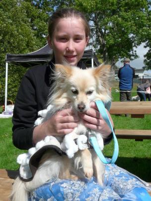 Polly the Pomeranian cross, disguised as a sheep, and owner Kate Jackson (12), of Owaka, compete...