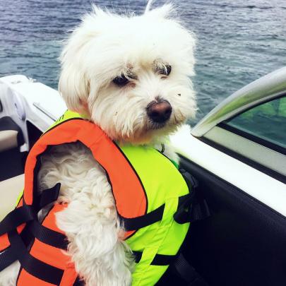 Gus sits in the boat with his life jacket on, at Lake Wakatipu. Photo: Aimee O'Sullivan