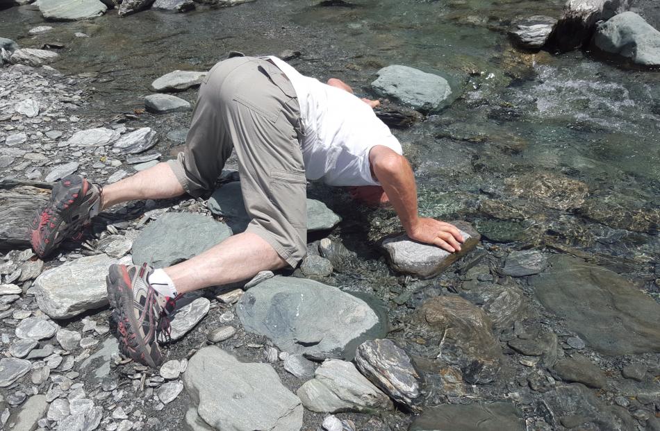 Steve Newall cools off, or does some fish-spotting, after completing the Rob Roy Glacier walk earlier this month. Photo: Alison Newall