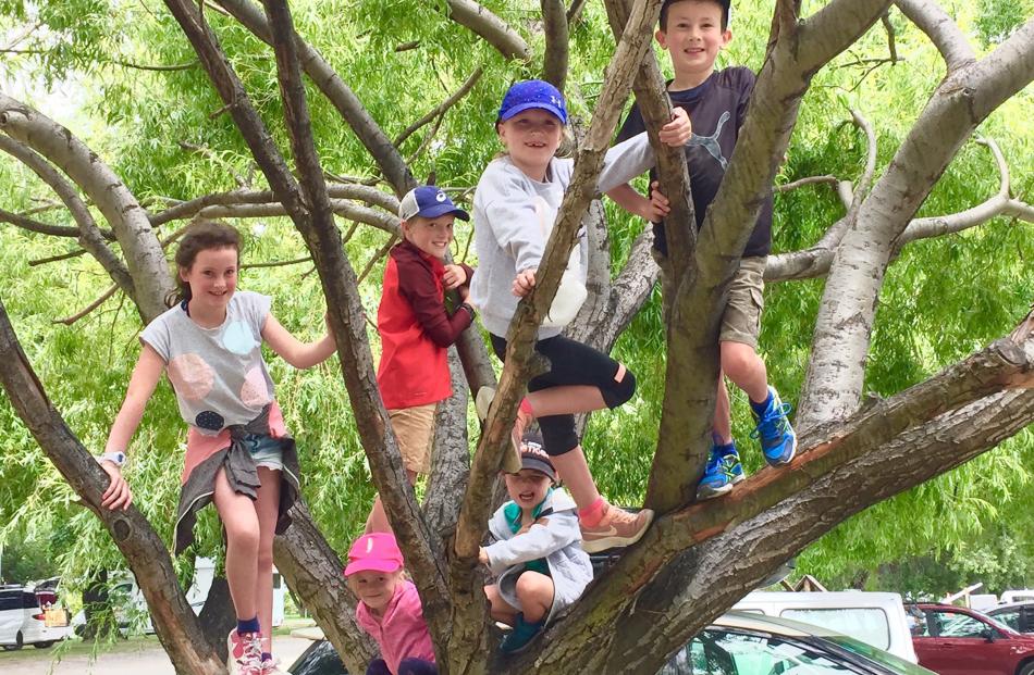 Emma (11) and Max (8) Hambleton, and Dardy (10), Elza (7), Tommy (4) and Louise (4) Harrington have fun tree-climbing beside Lake Wanaka. Photo: Jo Hambleton