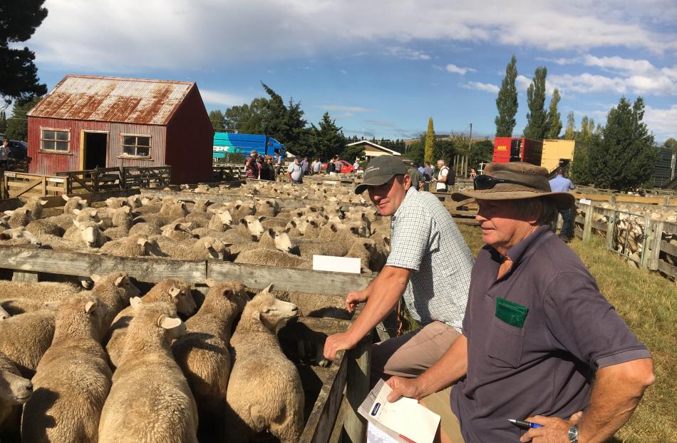 Rural livestock sheep and beef rep Andy Stringer (left), of Darfield, chats to farmer David Feary, of Springfield, at the Sheffield ewe fair. Photos: David Hill