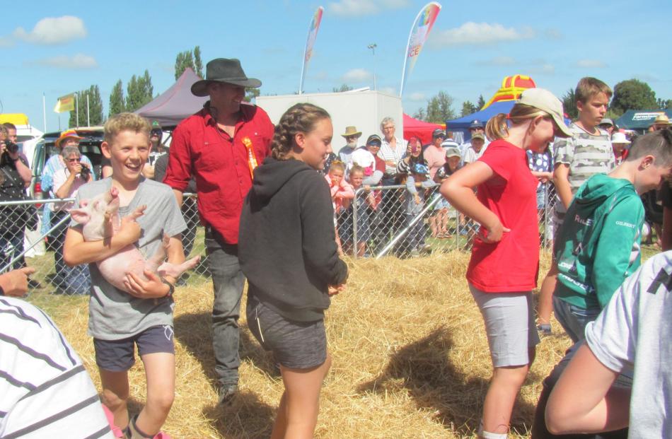 Catching one of four pigs during a competition for children aged 10 and over.