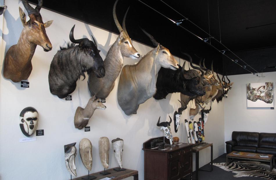 Taxidermy sourced from Africa is a unique aspect of Out of Africa.
