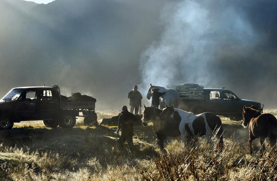 With a ute in need of tuning smoking in the background, horses wait to be saddled for the drive...