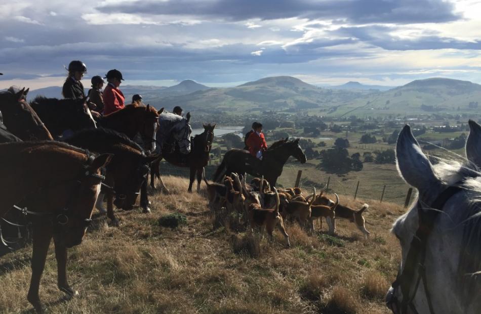 Taking in the view south over Waikouaiti township.