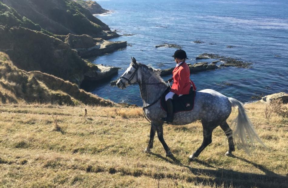 Huntsman Melanie McLeod riding Gorgeous Graham along the Matanaka coastline. 