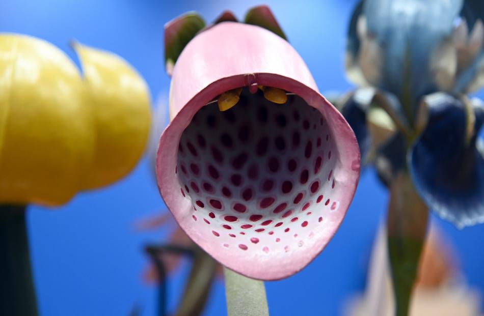 The models, which pre-date the opening of the botany department in 1924, show floral and leaf...