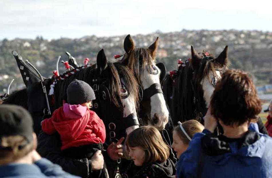 Crowds surround the horses at Forbury Park.