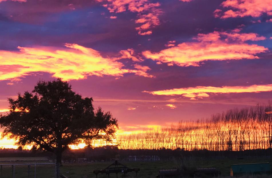 Sunrise north of Oamaru on Monday. Photo: Emma Pietersen