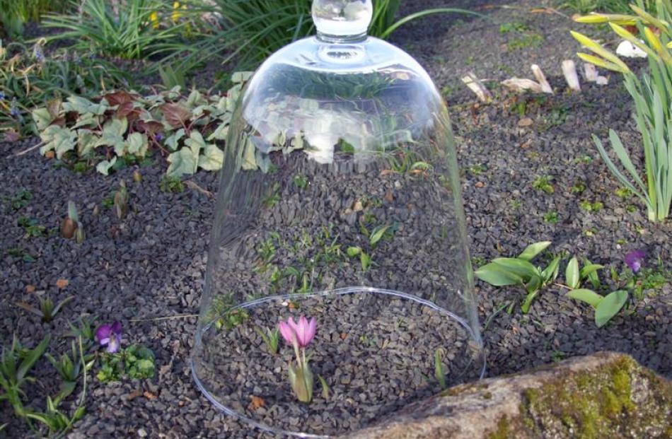 A Victorian-style bell cover protects a rare small bulb.