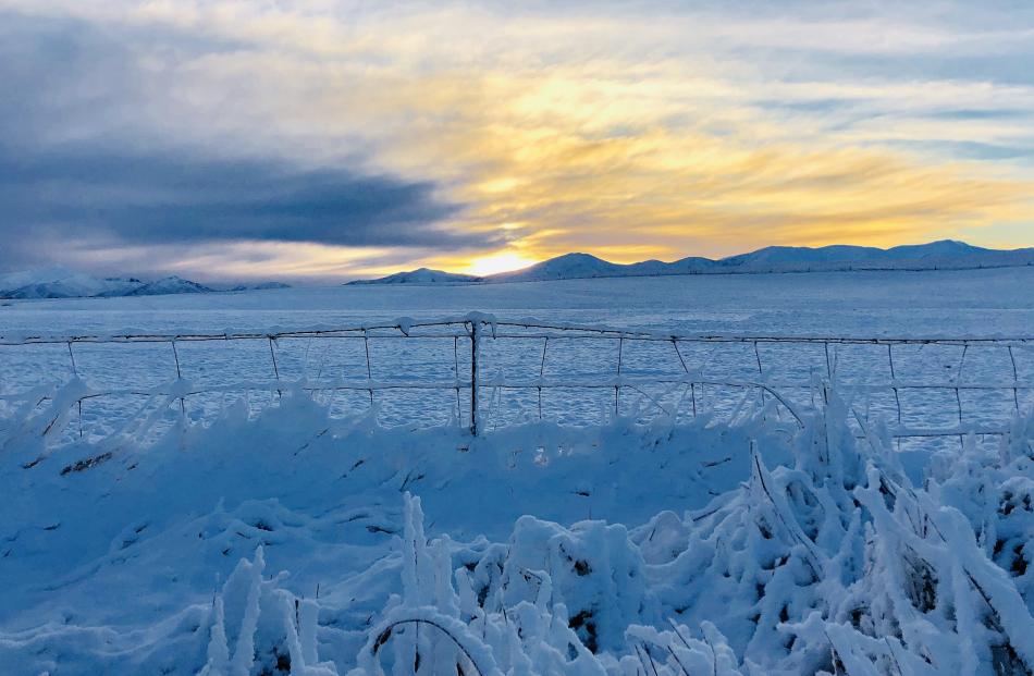 Naseby was a winter wonderland yesterday. Photo: Andrew McNeill