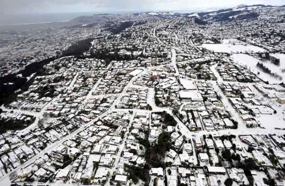 Maori Hill.