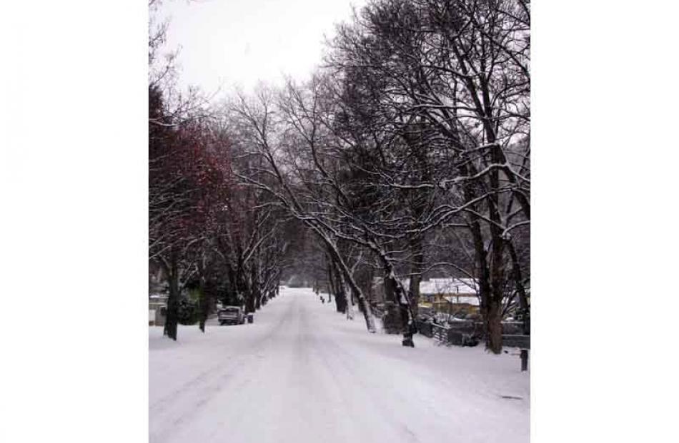 Buckingham St, in Arrowtown, was a different vista on Monday morning. Photo by Tracey Roxburgh.