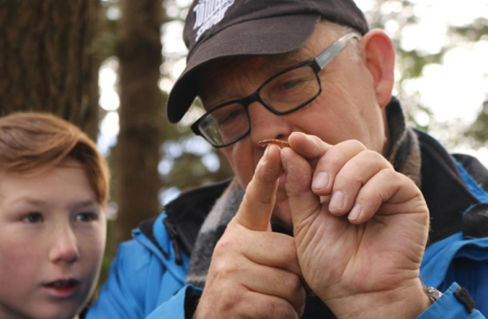 Year 8 pupil Hamish Mann and Ruud Kleinpaste looking at a predatory rove grub (larva of a rove...