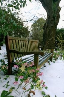 A seat in the Botanic Garden in Dunedin. Photo Katie Osborne
