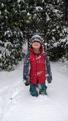 Cullen (5) stands knee-deep in snow. Photo by Sally Carr.