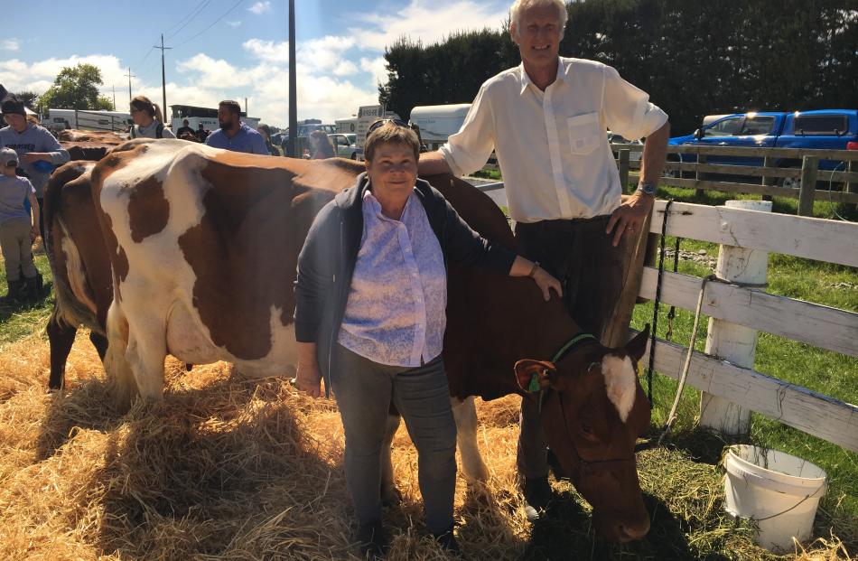 Pauline and Chris Prattley, of Killinchy, near Leeston, check up on their 6-year-old Ayrshire cow Hatherleigh Ruby. Photos: David Hill