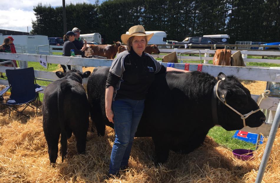 Penny Harmer, of Killinchy, near Leeston, checks up on her 9-year-old lowline bull Fil (short for...