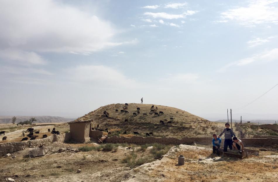 A photograph from the site of the excavation of a medieval cemetery in Uzbekistan.

