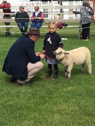 Judge Andrew Stokes, of Oxford, judges 6-year-old Sophie Westaway’s lamb, Sparkles.