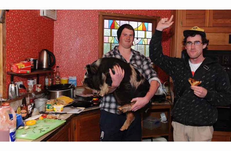 Andy Little (left) with their pig and Jimmy Stewart in their kitchen at 402 Leith St, and entrant...