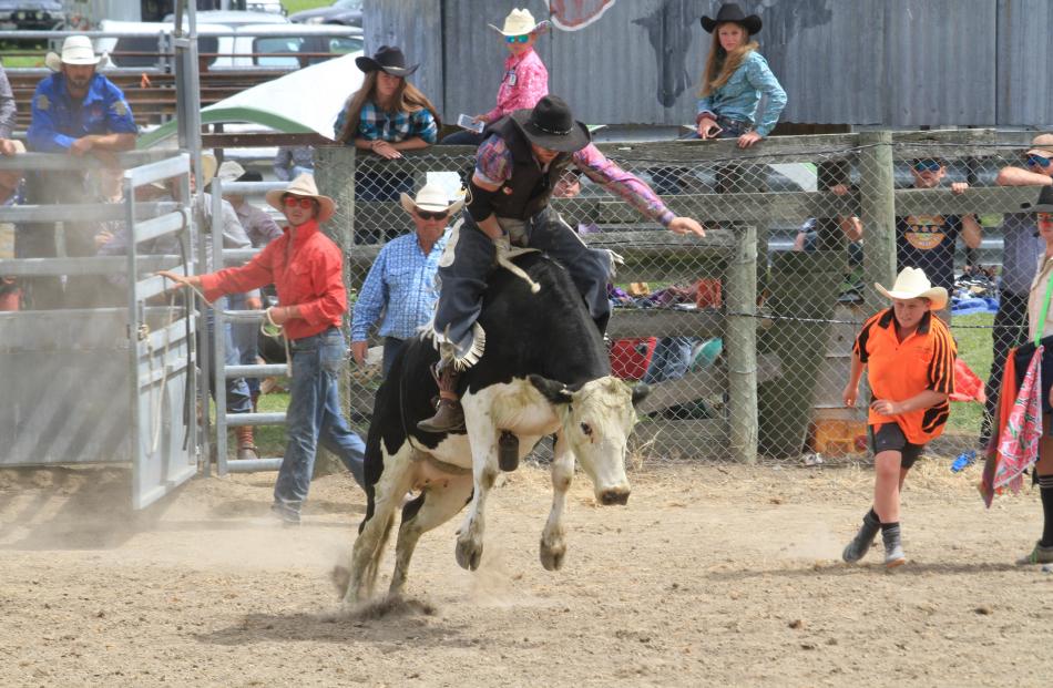 Luke Longley, of Roxburgh, rides his way out of the second division steer ride.
