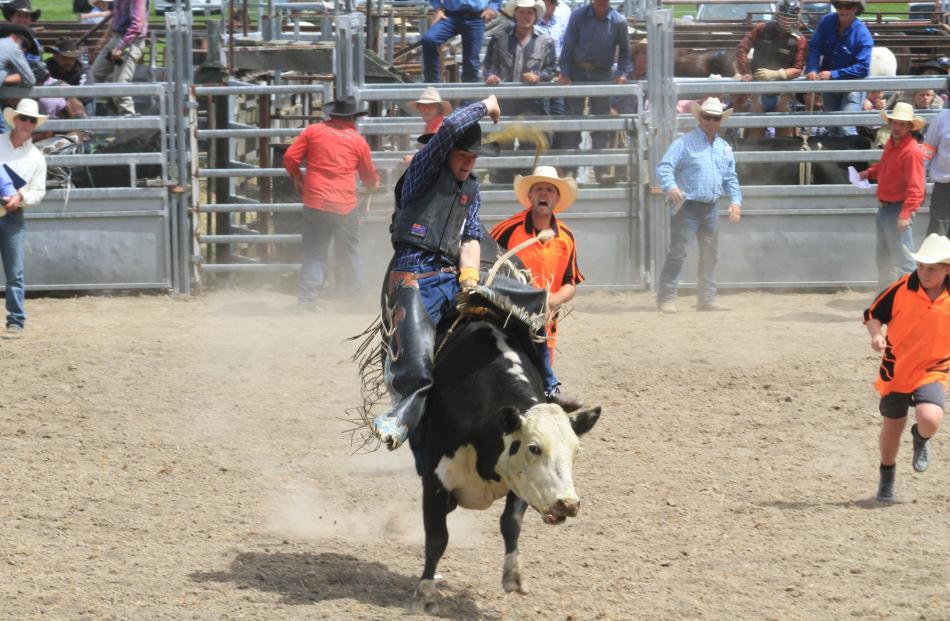 Oscar Nott, of Wanaka, competes in the second division steer ride.
