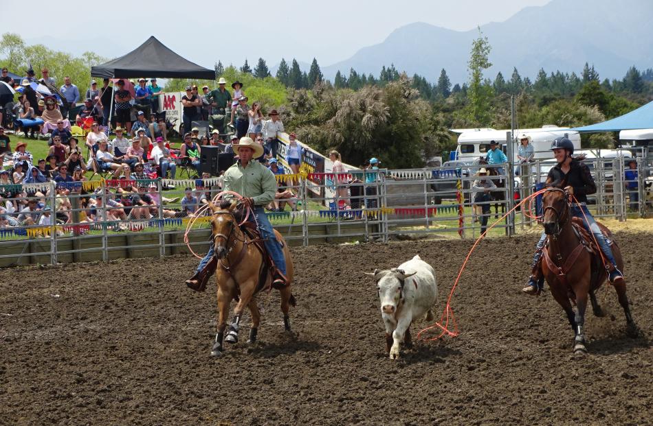 Husband and wife Shaun and Anna Thomas, of Balclutha, compete in the open team roping slack event.