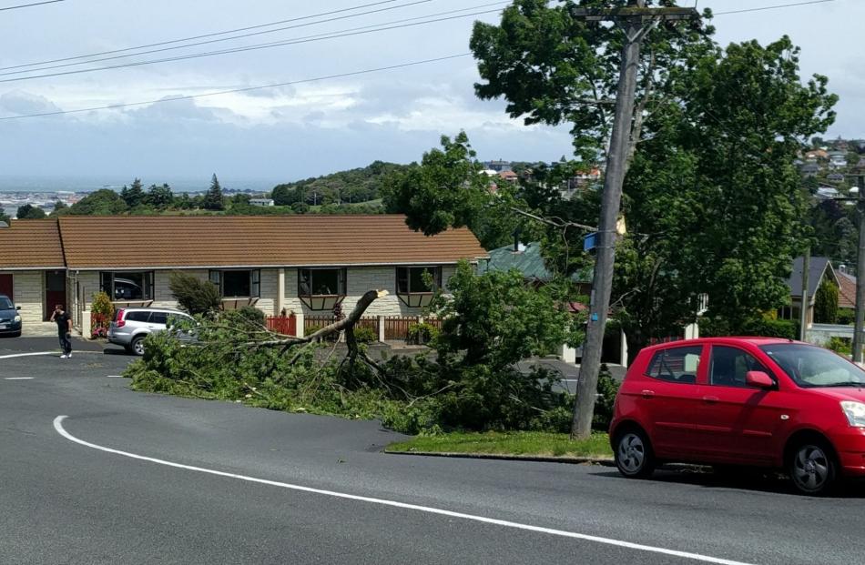 This tree branch has just come down on the corner of Pine Hill Road and Fea Street. Photo: Brian O'Neill