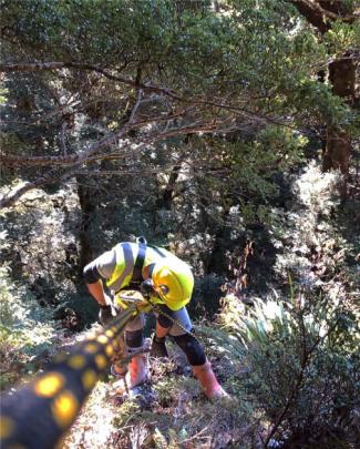 A Nelmac crew member works a rock face in a harness. PHOTO: TOM WOODWARD-NELMAC