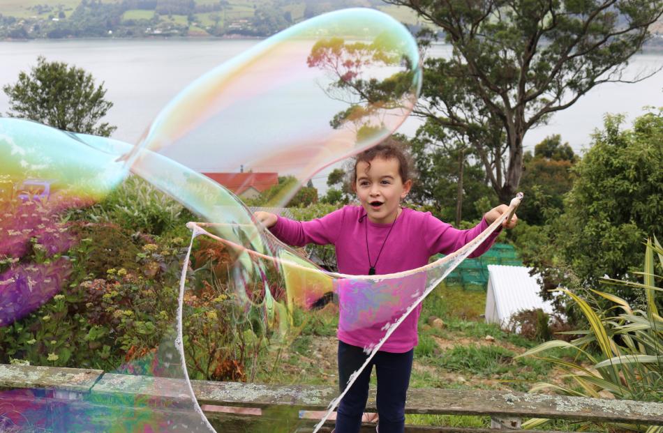 Ella-Rose Preece (5) can hardly believe her eyes at how big the bubbles she has made are, at home in Maia, Dunedin, on January 2. Photo: Gina Preece