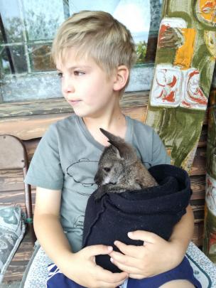 Will Bamford (7) meets a wallaby in Waimate on January 8. Photo: Debbie Henderson