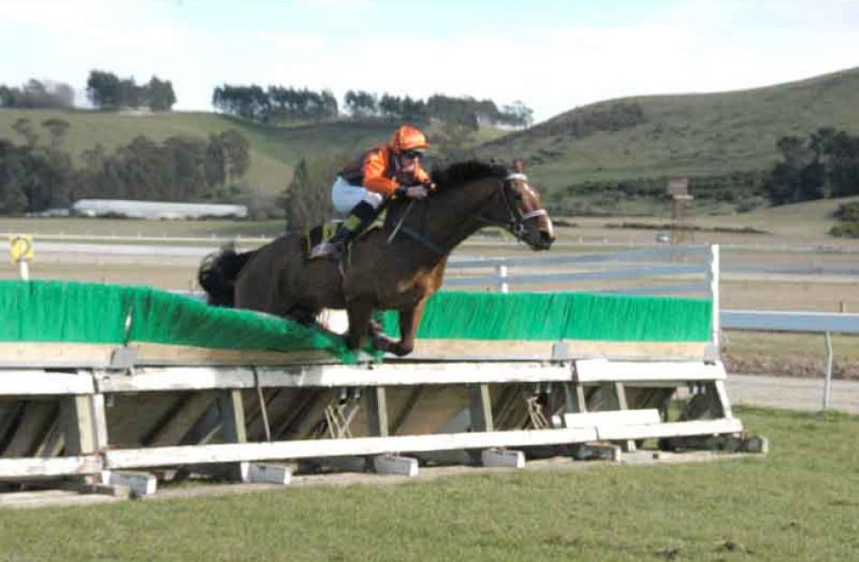 Not In The Avenues immediately before falling at the last hurdle of the steeplechase.