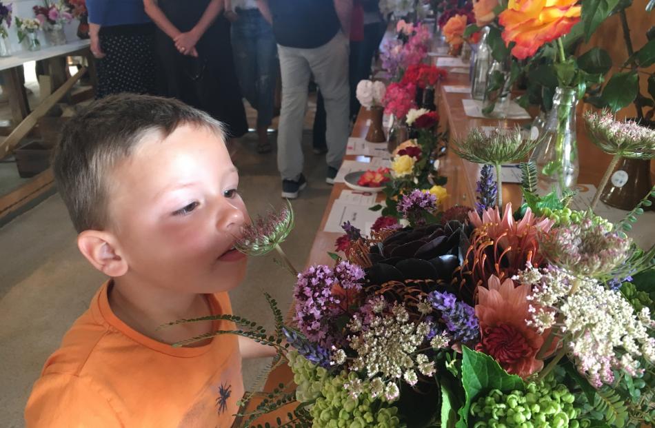 Charlie Vincent (3), of Christchurch, smells the cut flowers in the produce shed.