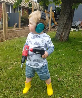 Bentley Aitkenhead (20 months) is all geared up to held with renovations over Christmas. Photo:...