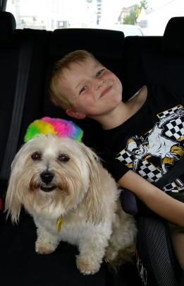 Ethan Gillanders (7) and Pepper have fun in the back of the car on the way to Evansdale Glen last...