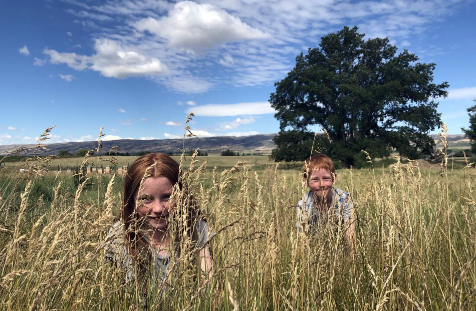 Adeline (10) and Patrick (7) Ball hide in long grass near Poolburn. Photo: Anne Gosnell 