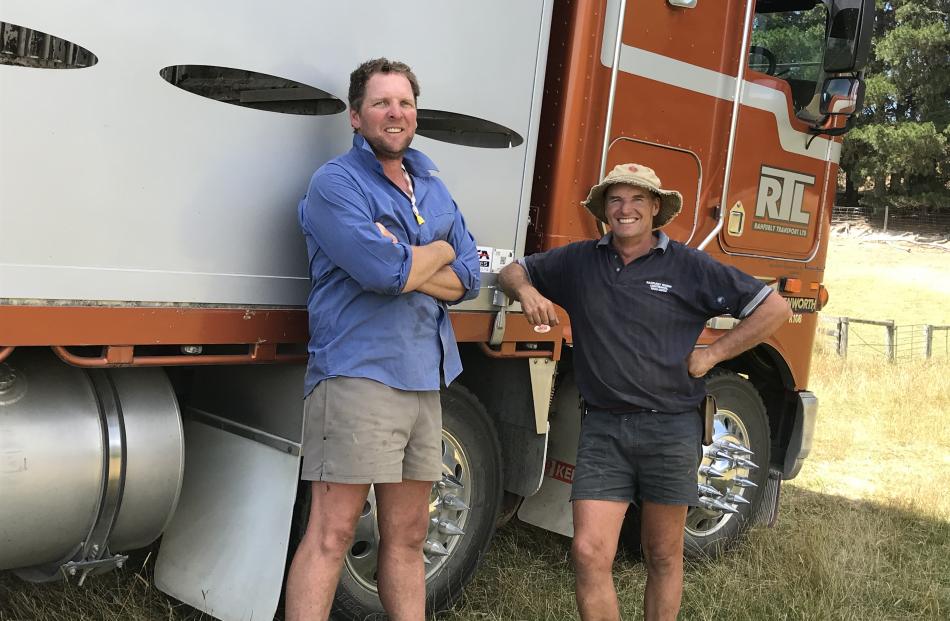 Longlands Station leaseholder Logan Dowling and equity partner Phil Dowling load store lambs at...