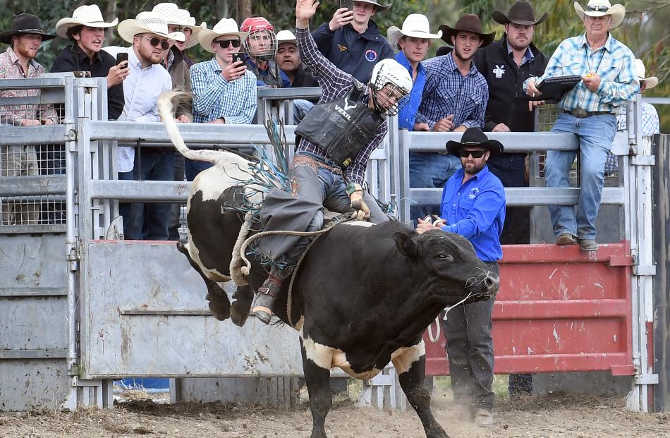 Macaulie Leather, from Australia, lands first place in the open bull ride.

