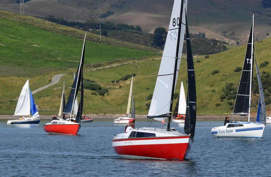 Noelex yachts compete in the national championships on Otago Harbour yesterday. PHOTOS: STEPHEN...