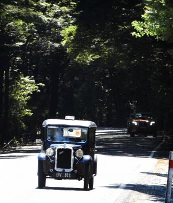 Mr Leggett’s Austin is pictured coming out of the native forest north of Makarora.