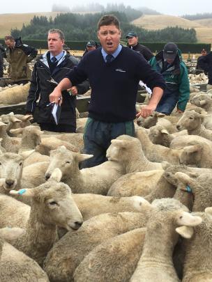 PGG Wrightson auctioneer Glenn Peddie looks for a bid during the Sheffield Ewe Fair on Friday,...