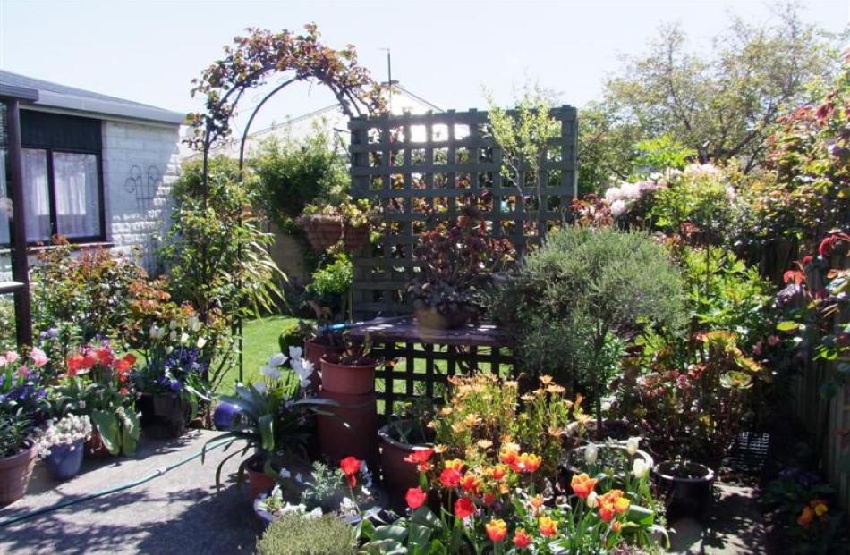 The immaculate little South Dunedin garden of May Cuthbertson (97).