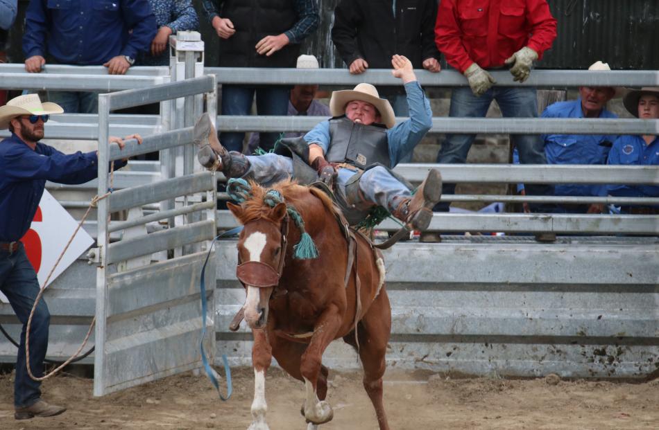 Harry McCallum, of Dipton, holds on tight as his horse leaves the chute in the second division...