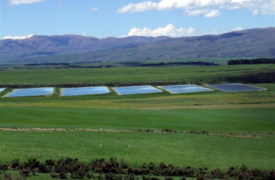 Some of the seven water-storage ponds on Lone Star Farms' Caberfeidh property. Photo by Sally Rae.